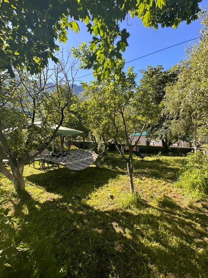 Gio-Nika Hotel Kasbegi Buitenkant foto