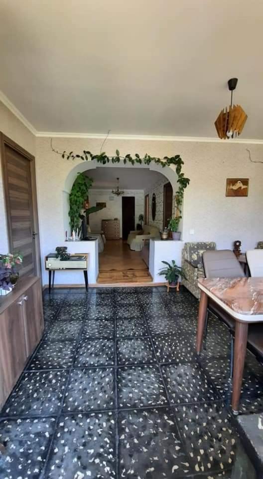 Gio-Nika Hotel Kasbegi Buitenkant foto