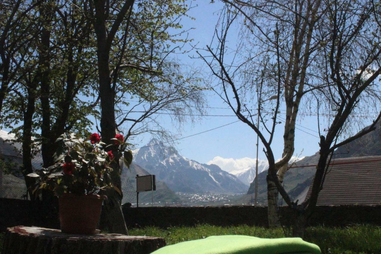 Gio-Nika Hotel Kasbegi Buitenkant foto